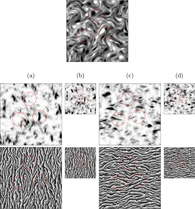 Figure 3 for Maximum Entropy Models from Phase Harmonic Covariances