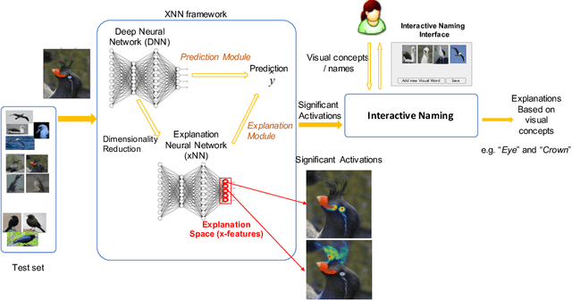 Figure 1 for Interactive Naming for Explaining Deep Neural Networks: A Formative Study