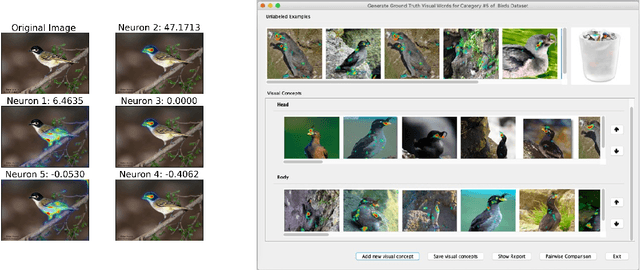 Figure 3 for Interactive Naming for Explaining Deep Neural Networks: A Formative Study