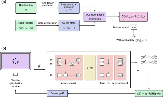 Figure 3 for The prospects of quantum computing in computational molecular biology