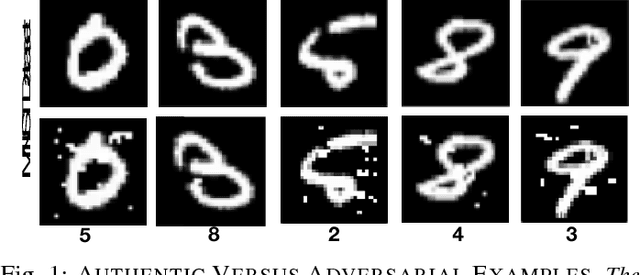 Figure 1 for Assessing Threat of Adversarial Examples on Deep Neural Networks