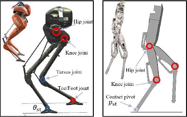 Figure 3 for Bipedal Walking on Constrained Footholds: Momentum Regulation via Vertical COM Control