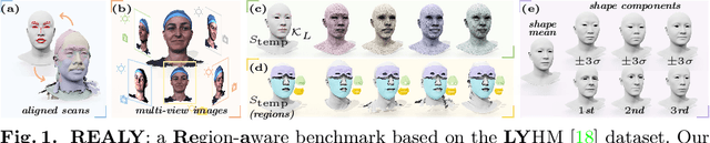 Figure 1 for REALY: Rethinking the Evaluation of 3D Face Reconstruction