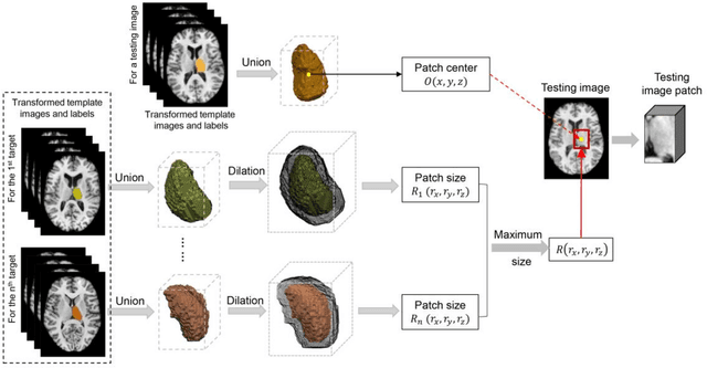 Figure 4 for Brain segmentation based on multi-atlas guided 3D fully convolutional network ensembles
