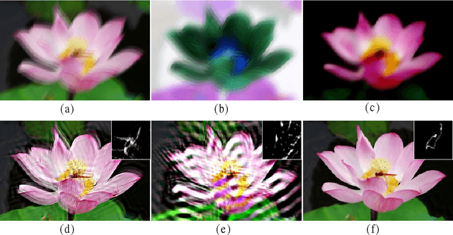 Figure 4 for Kernel Estimation from Salient Structure for Robust Motion Deblurring