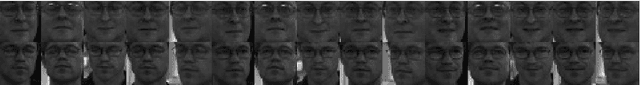 Figure 3 for Non-negative representation based discriminative dictionary learning for face recognition