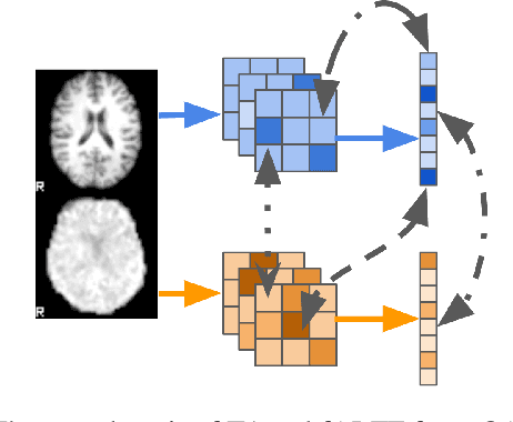 Figure 1 for On self-supervised multi-modal representation learning: An application to Alzheimer's disease