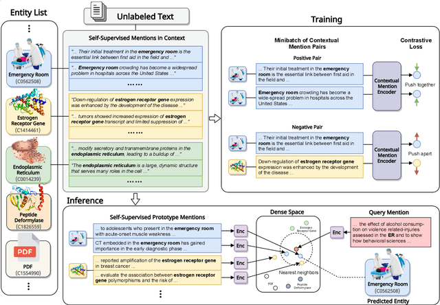 Figure 1 for Knowledge-Rich Self-Supervised Entity Linking
