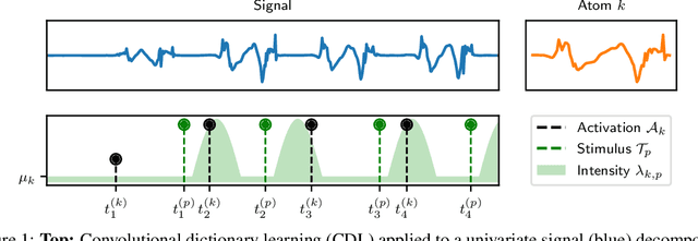 Figure 1 for DriPP: Driven Point Processes to Model Stimuli Induced Patterns in M/EEG Signals