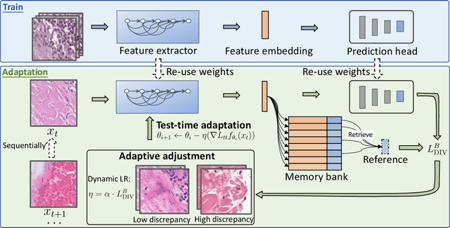 Figure 2 for DLTTA: Dynamic Learning Rate for Test-time Adaptation on Cross-domain Medical Images