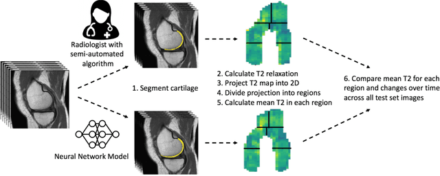 Figure 2 for Open source software for automatic subregional assessment of knee cartilage degradation using quantitative T2 relaxometry and deep learning