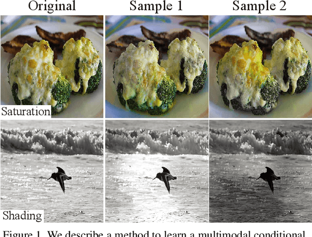 Figure 1 for CDVAE: Co-embedding Deep Variational Auto Encoder for Conditional Variational Generation