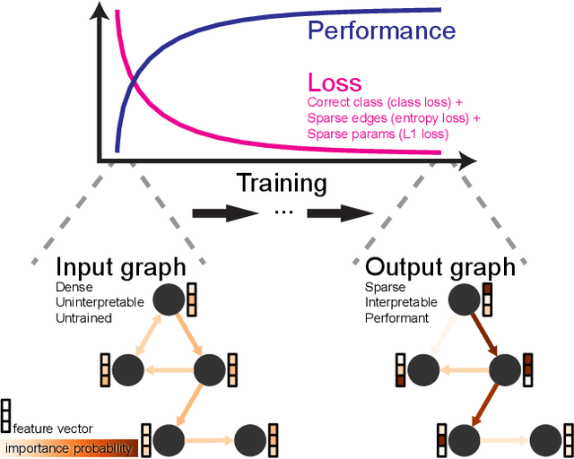 Figure 1 for Graph Neural Networks Including Sparse Interpretability