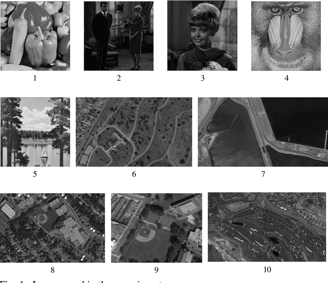 Figure 1 for Multilevel Image Thresholding Using a Fully Informed Cuckoo Search Algorithm