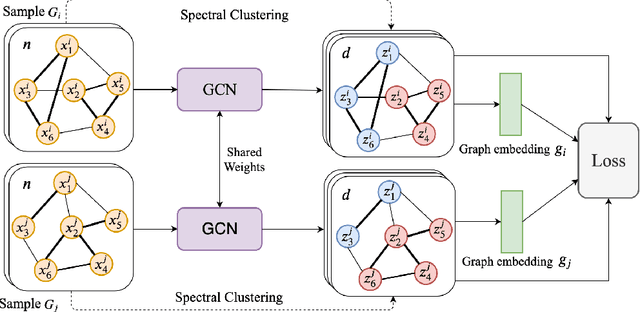 Figure 1 for Community-preserving Graph Convolutions for Structural and Functional Joint Embedding of Brain Networks