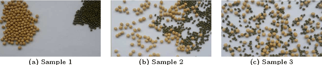 Figure 4 for Quantitative Analysis of Particles Segregation