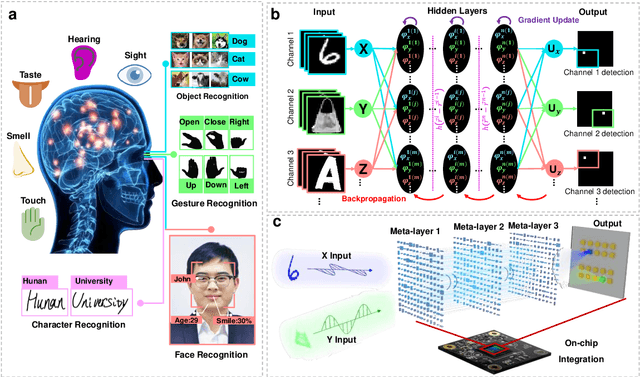 Figure 1 for Metasurface-Enabled On-Chip Multiplexed Diffractive Neural Networks in the Visible