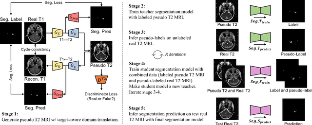 Figure 3 for COSMOS: Cross-Modality Unsupervised Domain Adaptation for 3D Medical Image Segmentation based on Target-aware Domain Translation and Iterative Self-Training
