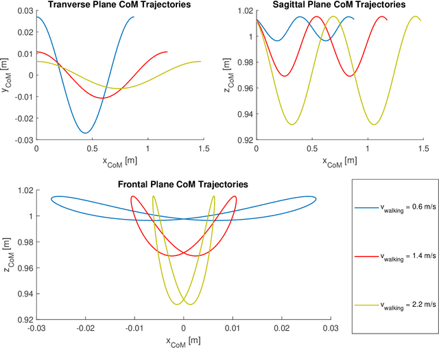 Figure 3 for The Strange Attractor of Bipedal Locomotion and Consequences on Motor Control