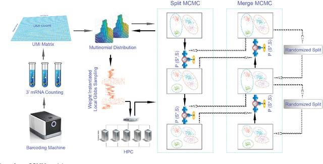 Figure 1 for Parallel Clustering of Single Cell Transcriptomic Data with Split-Merge Sampling on Dirichlet Process Mixtures