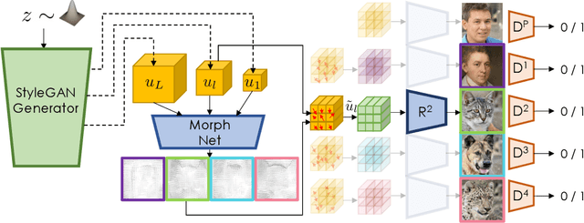 Figure 2 for Polymorphic-GAN: Generating Aligned Samples across Multiple Domains with Learned Morph Maps