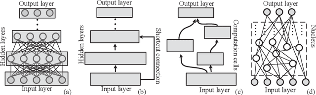 Figure 1 for Nucleus Neural Network: A Data-driven Self-organized Architecture
