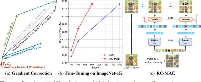Figure 1 for Exploring The Role of Mean Teachers in Self-supervised Masked Auto-Encoders