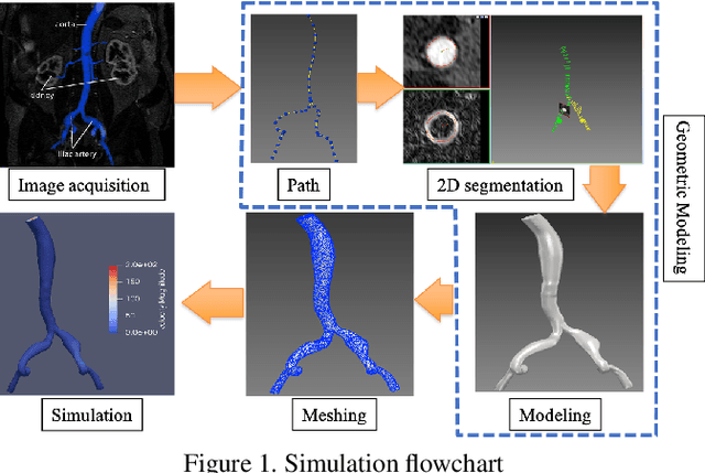 Figure 1 for Resistance-Time Co-Modulated PointNet for Temporal Super-Resolution Simulation of Blood Vessel Flows