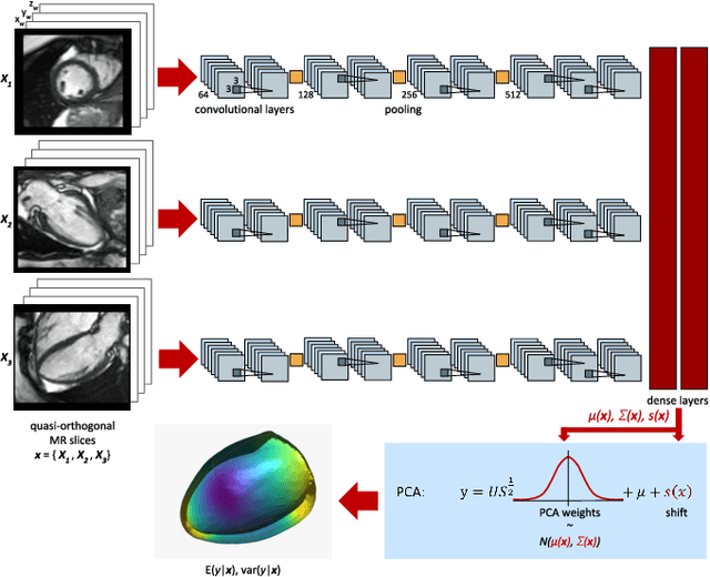 Figure 1 for Probabilistic 3D surface reconstruction from sparse MRI information