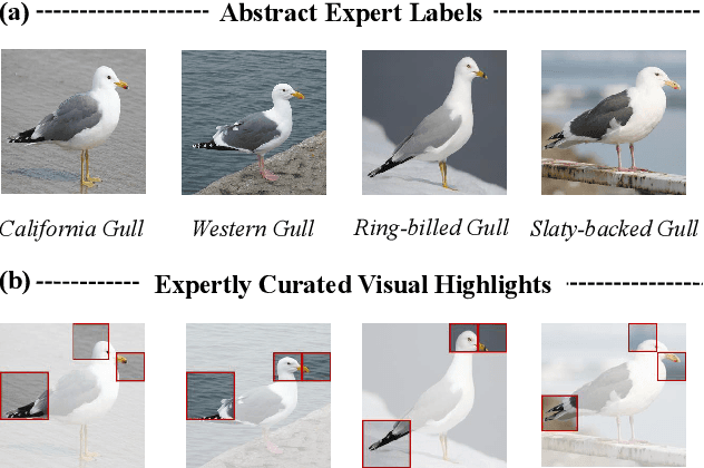 Figure 3 for Making a Bird AI Expert Work for You and Me