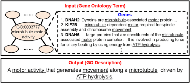 Figure 1 for Graph-in-Graph Network for Automatic Gene Ontology Description Generation