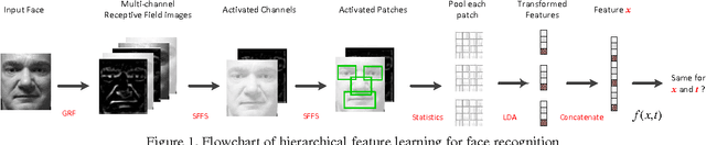 Figure 1 for Large-scale Supervised Hierarchical Feature Learning for Face Recognition