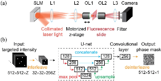 Figure 1 for Sparse deep computer-generated holography for optical microscopy