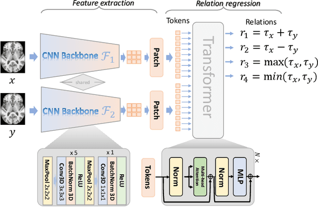 Figure 1 for Deep Relation Learning for Regression and Its Application to Brain Age Estimation