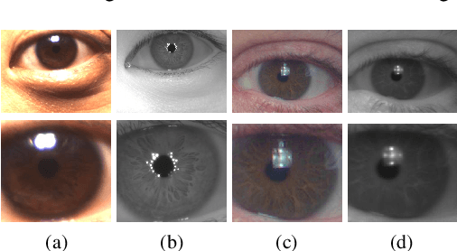 Figure 1 for Deep Representations for Cross-spectral Ocular Biometrics