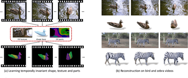 Figure 1 for Online Adaptation for Consistent Mesh Reconstruction in the Wild
