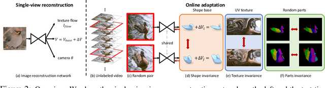 Figure 3 for Online Adaptation for Consistent Mesh Reconstruction in the Wild