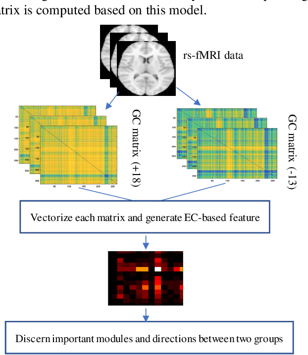 Figure 3 for Causality based Feature Fusion for Brain Neuro-Developmental Analysis