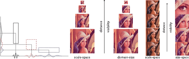 Figure 1 for Visual Scene Representations: Contrast, Scaling and Occlusion