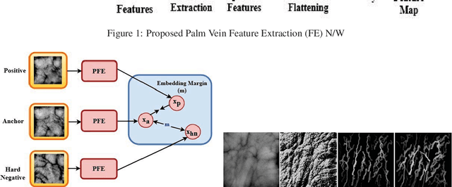Figure 3 for PVSNet: Palm Vein Authentication Siamese Network Trained using Triplet Loss and Adaptive Hard Mining by Learning Enforced Domain Specific Features