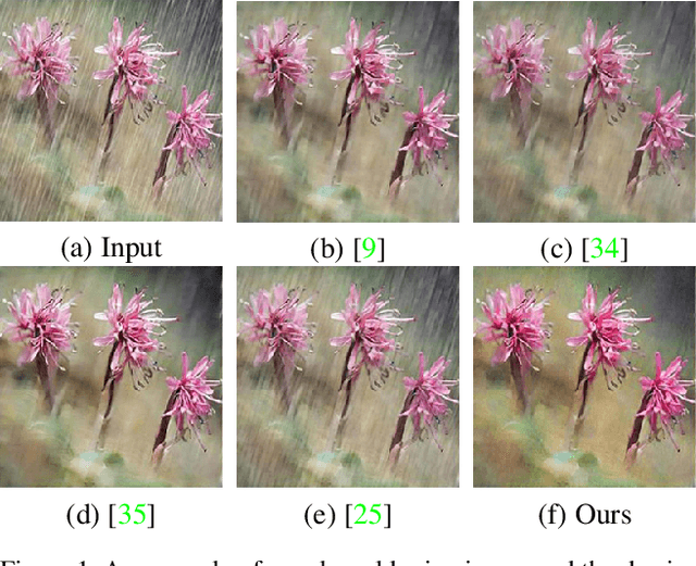 Figure 1 for An Effective Two-Branch Model-Based Deep Network for Single Image Deraining