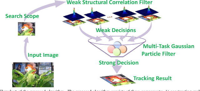 Figure 1 for A Structural Correlation Filter Combined with A Multi-task Gaussian Particle Filter for Visual Tracking