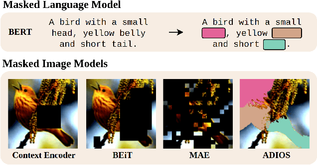Figure 1 for Adversarial Masking for Self-Supervised Learning