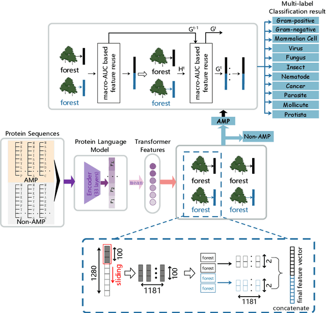 Figure 1 for HMD-AMP: Protein Language-Powered Hierarchical Multi-label Deep Forest for Annotating Antimicrobial Peptides
