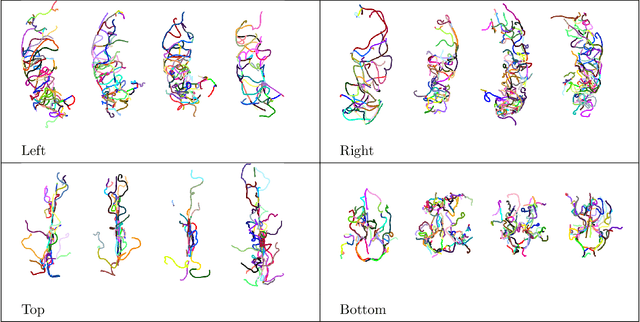Figure 2 for Statistical shape analysis of brain arterial networks (BAN)
