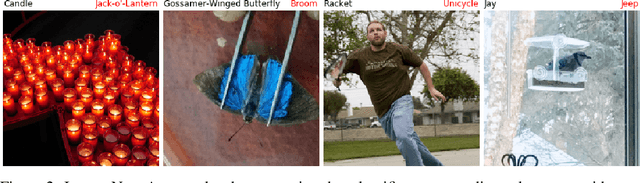 Figure 2 for Natural Adversarial Examples