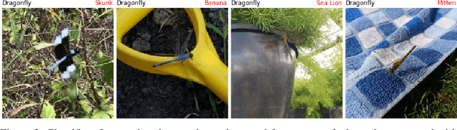 Figure 3 for Natural Adversarial Examples