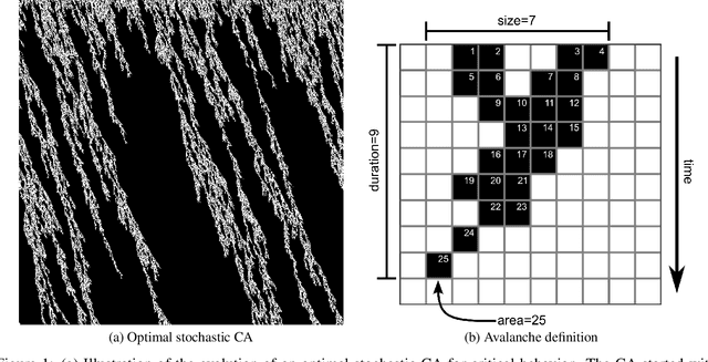 Figure 1 for Assessing the robustness of critical behavior in stochastic cellular automata