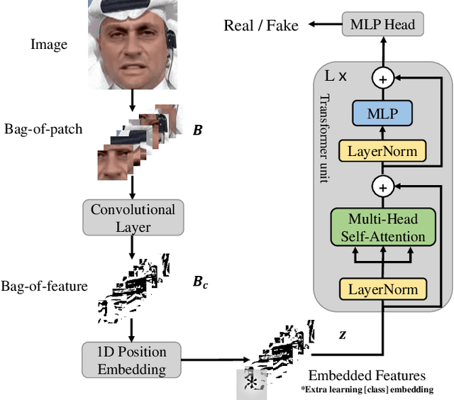 Figure 1 for Towards Generalizable and Robust Face Manipulation Detection via Bag-of-local-feature