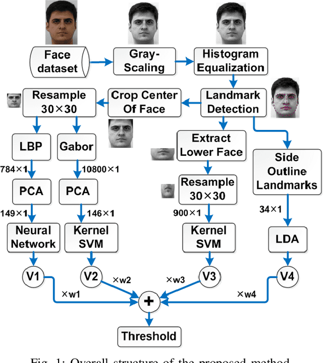 Figure 1 for A Fusion-based Gender Recognition Method Using Facial Images